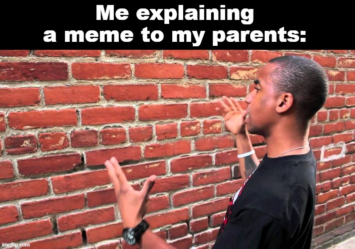 We've all been there | Me explaining a meme to my parents: | image tagged in talking to wall | made w/ Imgflip meme maker