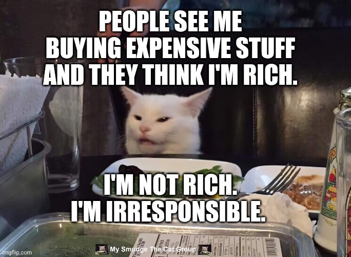  PEOPLE SEE ME BUYING EXPENSIVE STUFF AND THEY THINK I'M RICH. I'M NOT RICH. I'M IRRESPONSIBLE. | image tagged in smudge the cat | made w/ Imgflip meme maker