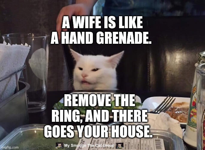  A WIFE IS LIKE A HAND GRENADE. REMOVE THE RING, AND THERE GOES YOUR HOUSE. | image tagged in smudge the cat | made w/ Imgflip meme maker