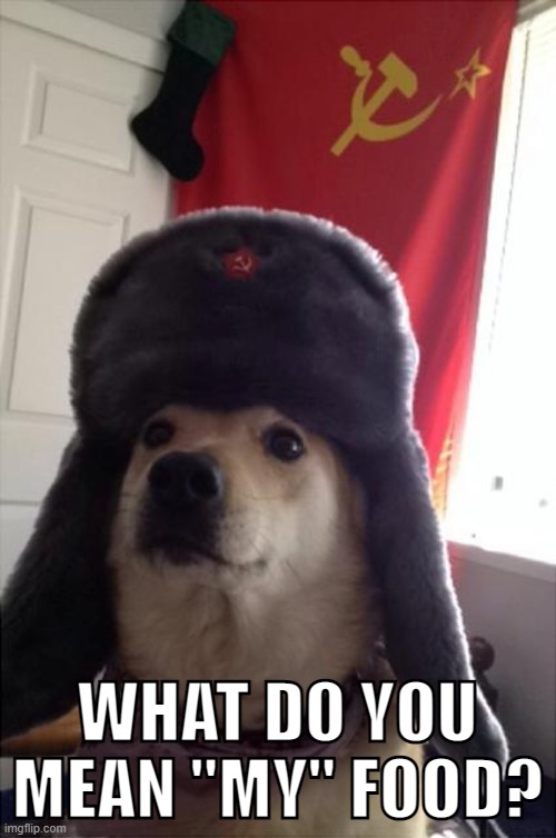 communist dog | WHAT DO YOU MEAN "MY" FOOD? | image tagged in communist dog | made w/ Imgflip meme maker