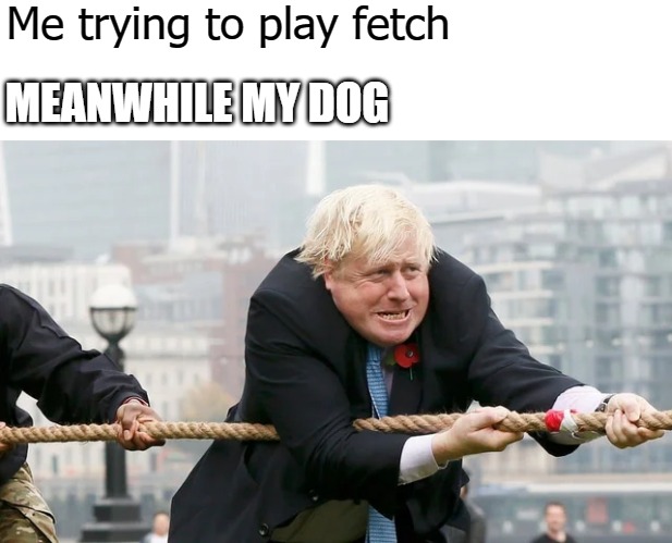 Me trying to play fetch; MEANWHILE MY DOG | image tagged in image tag | made w/ Imgflip meme maker