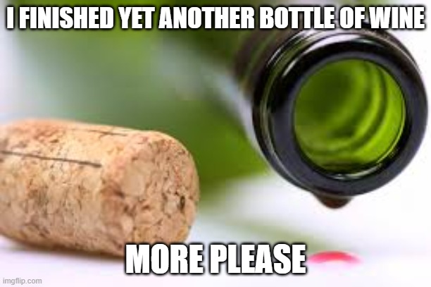 empty wine bottle | I FINISHED YET ANOTHER BOTTLE OF WINE; MORE PLEASE | image tagged in empty wine bottle | made w/ Imgflip meme maker