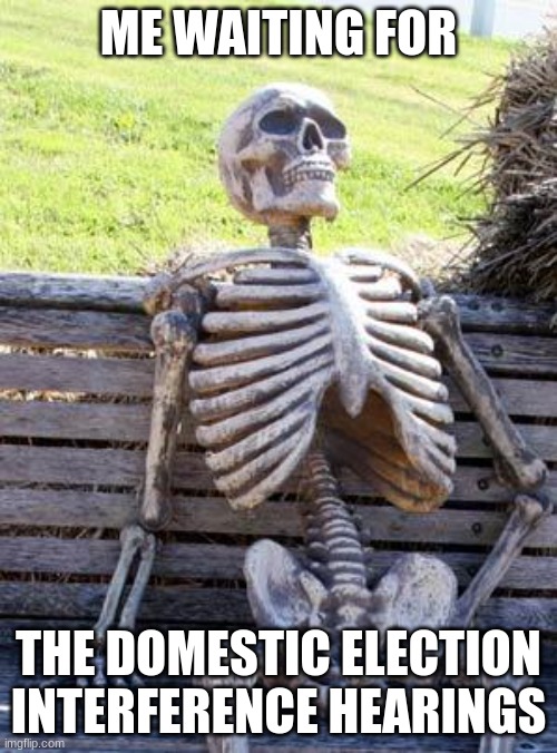 Fack-checker confirmation hearings? | ME WAITING FOR; THE DOMESTIC ELECTION INTERFERENCE HEARINGS | image tagged in memes,waiting skeleton | made w/ Imgflip meme maker