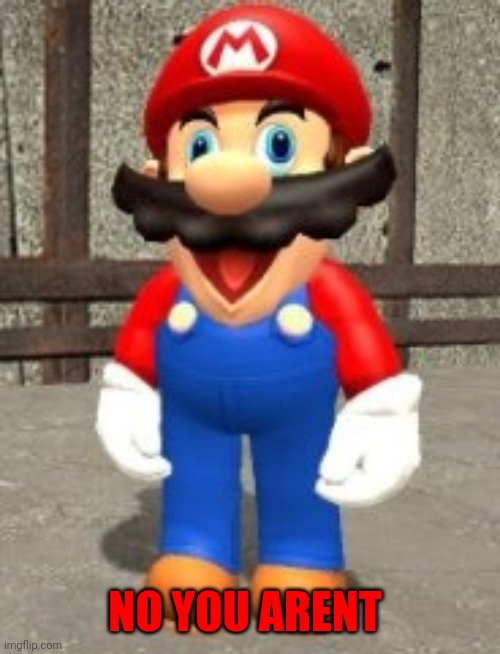 Dumb Mario | NO YOU AREN'T | image tagged in dumb mario | made w/ Imgflip meme maker