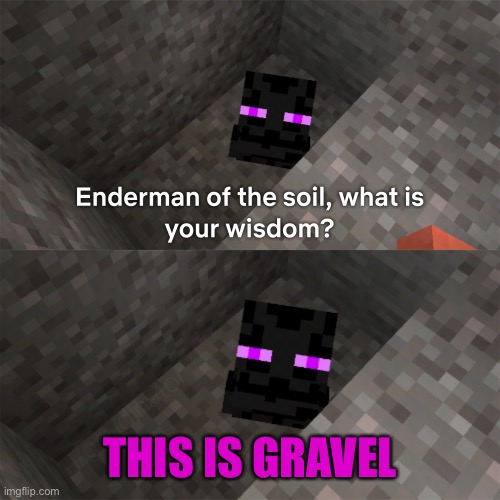 NO, THIS IS GRAVEL! (This is Patrick meme format) | THIS IS GRAVEL | image tagged in enderman of the soil | made w/ Imgflip meme maker