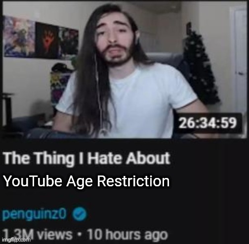The Thing I Hate About ___ | YouTube Age Restriction | image tagged in the thing i hate about ___ | made w/ Imgflip meme maker