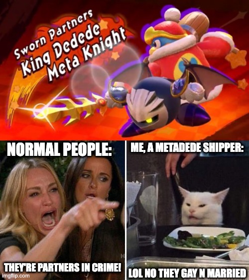  NORMAL PEOPLE:; ME, A METADEDE SHIPPER:; THEY'RE PARTNERS IN CRIME! LOL NO THEY GAY N MARRIED | image tagged in angry lady cat | made w/ Imgflip meme maker