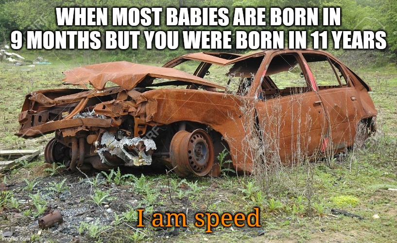 Inspired by Kindergarten_Cop and Hubi1 | WHEN MOST BABIES ARE BORN IN 9 MONTHS BUT YOU WERE BORN IN 11 YEARS; I am speed | image tagged in i think i can fix it | made w/ Imgflip meme maker