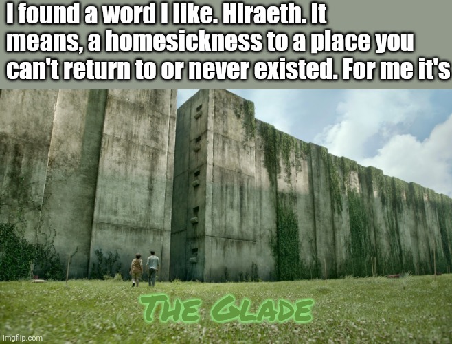 I want to go! | I found a word I like. Hiraeth. It means, a homesickness to a place you can't return to or never existed. For me it's; The Glade | image tagged in the glade,maze runner,relatable | made w/ Imgflip meme maker