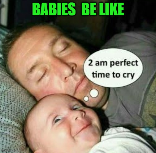 BABIES  BE LIKE | image tagged in memes | made w/ Imgflip meme maker