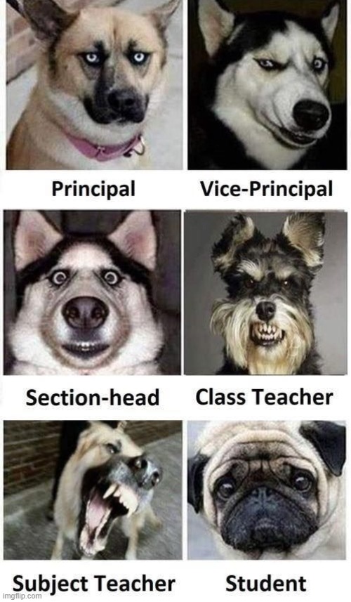 image tagged in middle school | made w/ Imgflip meme maker