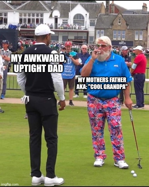 Just Grandpa asserting his dominance again | MY AWKWARD, UPTIGHT DAD; MY MOTHERS FATHER AKA: "COOL GRANDPA" | image tagged in john daly and tiger woods,funny,memes,meme,funny memes | made w/ Imgflip meme maker