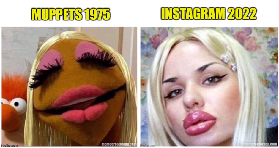 Lip service | image tagged in lips,pout,blonde,influencer,muppets,instagram | made w/ Imgflip meme maker