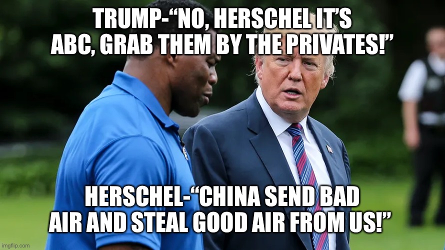 Herschel Walker Trump | TRUMP-“NO, HERSCHEL IT’S ABC, GRAB THEM BY THE PRIVATES!”; HERSCHEL-“CHINA SEND BAD AIR AND STEAL GOOD AIR FROM US!” | image tagged in herschel walker trump | made w/ Imgflip meme maker