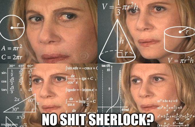 Calculating meme | NO SHIT SHERLOCK? | image tagged in calculating meme | made w/ Imgflip meme maker