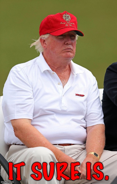 fat trump | IT SURE IS. | image tagged in fat trump | made w/ Imgflip meme maker