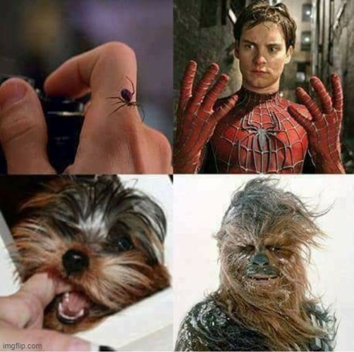 image tagged in repost | made w/ Imgflip meme maker