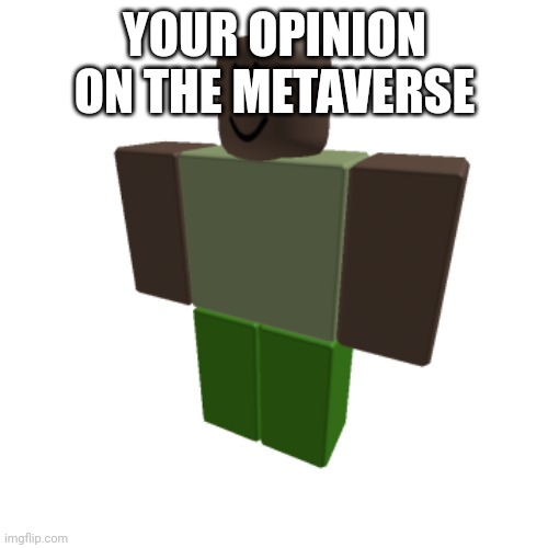 Roblox oc | YOUR OPINION ON THE METAVERSE | image tagged in roblox oc | made w/ Imgflip meme maker