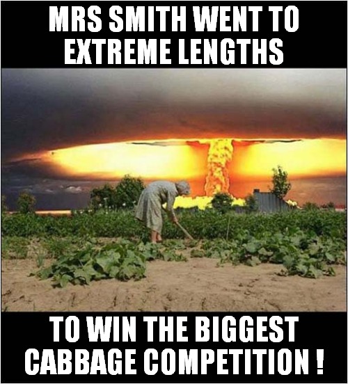 Radiation Grows Bigger Veg ? | MRS SMITH WENT TO
EXTREME LENGTHS; TO WIN THE BIGGEST CABBAGE COMPETITION ! | image tagged in radiation,biggest vegetable,competition,dark humour | made w/ Imgflip meme maker