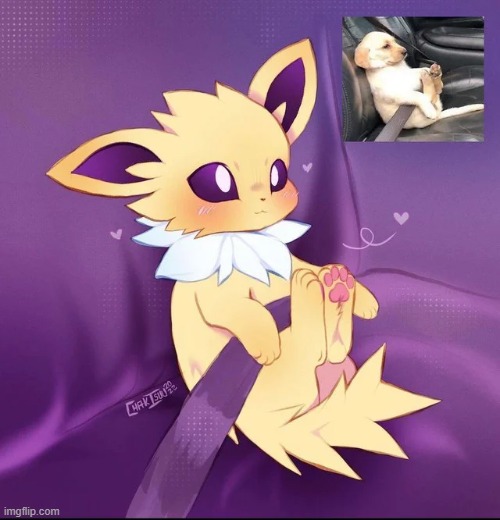 gn | image tagged in jolteon | made w/ Imgflip meme maker