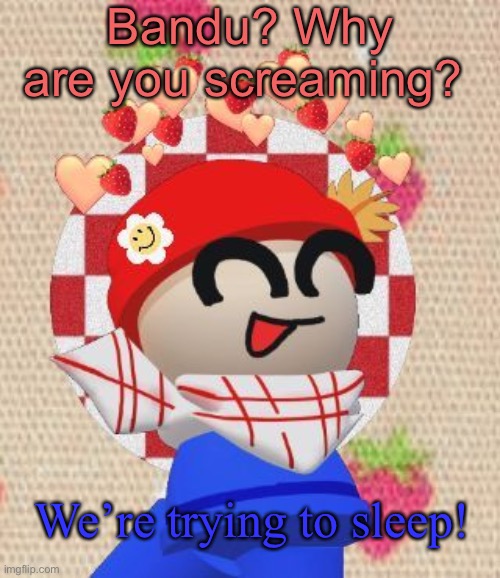 Scrump | Bandu? Why are you screaming? We’re trying to sleep! | image tagged in scrump | made w/ Imgflip meme maker