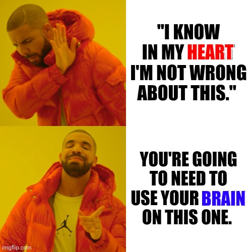 Stop. The. Stupid. | "I KNOW IN MY HEART I'M NOT WRONG ABOUT THIS."; HEART; YOU'RE GOING TO NEED TO USE YOUR BRAIN ON THIS ONE. BRAIN | image tagged in memes,drake hotline bling,special kind of stupid,think,heart,brain | made w/ Imgflip meme maker
