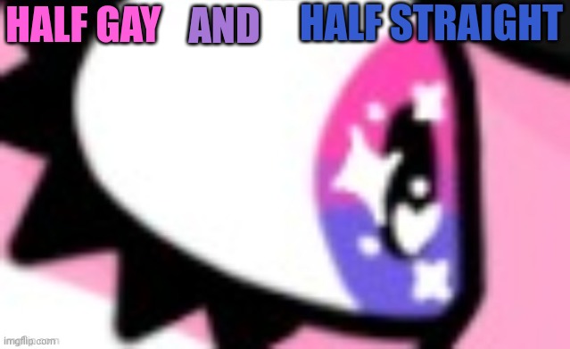 HALF GAY AND HALF STRAIGHT | made w/ Imgflip meme maker