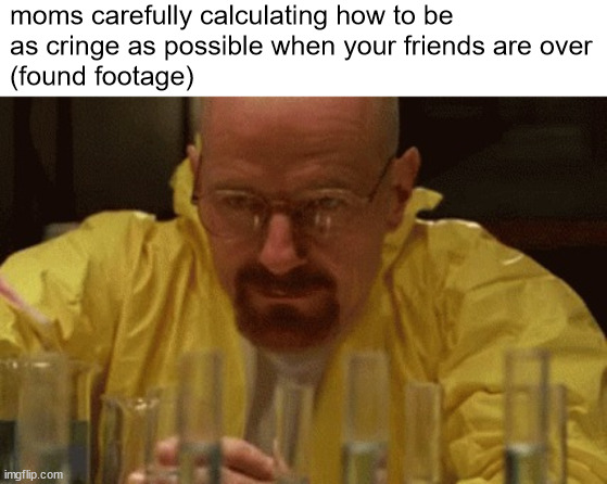 title. | moms carefully calculating how to be 
as cringe as possible when your friends are over
(found footage) | image tagged in walter white cooking | made w/ Imgflip meme maker