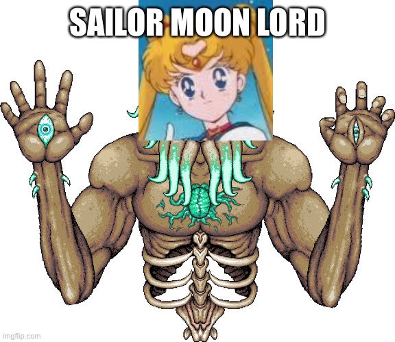 This is beautiful | SAILOR MOON LORD | image tagged in moon lord,sailor moon | made w/ Imgflip meme maker