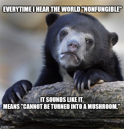 for real | EVERYTIME I HEAR THE WORLD "NONFUNGIBLE"; IT SOUNDS LIKE IT MEANS "CANNOT BE TURNED INTO A MUSHROOM." | image tagged in memes,confession bear | made w/ Imgflip meme maker