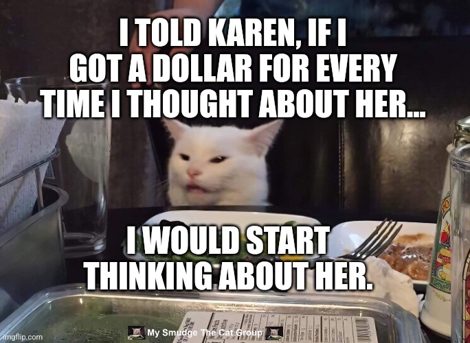 I TOLD KAREN, IF I GOT A DOLLAR FOR EVERY TIME I THOUGHT ABOUT HER... I WOULD START THINKING ABOUT HER. | image tagged in smudge the cat | made w/ Imgflip meme maker