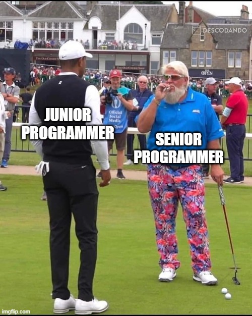 junior programmer x senior programmer | JUNIOR PROGRAMMER; SENIOR PROGRAMMER | image tagged in john daly and tiger woods | made w/ Imgflip meme maker