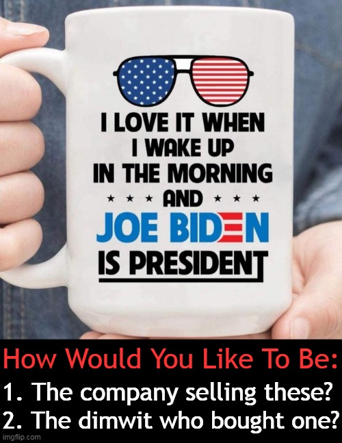SERIOUSLY, What Kind of Person Could Feel Good About Biden in The White House? | How Would You Like To Be:; 1. The company selling these? 2. The dimwit who bought one? | image tagged in politics,joe biden,incompetence,dementia,america last,puppet | made w/ Imgflip meme maker
