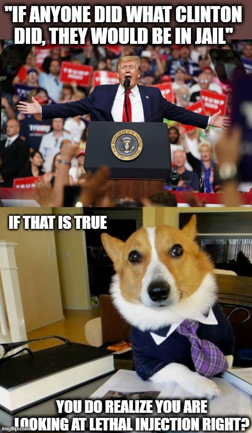 Prison is too good for him, how many assets have we lost? what damage has been done? Why did kim jung un send 'love' letters? | "IF ANYONE DID WHAT CLINTON DID, THEY WOULD BE IN JAIL"; IF THAT IS TRUE; YOU DO REALIZE YOU ARE LOOKING AT LETHAL INJECTION RIGHT? | image tagged in lawyer corgi dog,memes,politics,treason,lock him up,maga | made w/ Imgflip meme maker