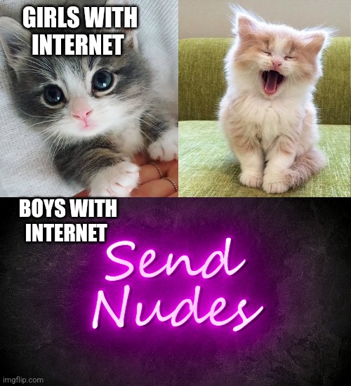 GIRLS WITH INTERNET; BOYS WITH INTERNET | image tagged in funny memes | made w/ Imgflip meme maker