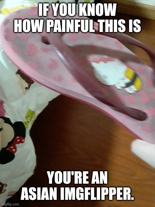 The slipper. | IF YOU KNOW HOW PAINFUL THIS IS; YOU'RE AN ASIAN IMGFLIPPER. | made w/ Imgflip meme maker