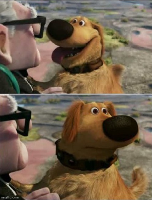 distracted by squirrel | image tagged in distracted by squirrel | made w/ Imgflip meme maker