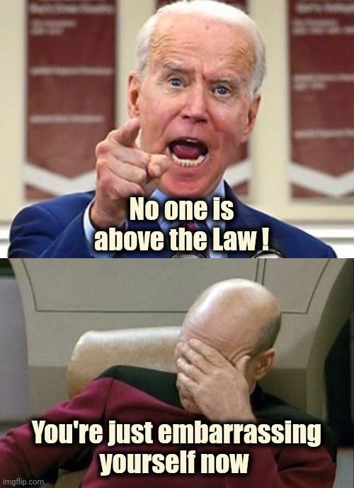 You keep saying that . . . | No one is above the Law ! You're just embarrassing
yourself now | image tagged in memes,biden - will you shut up man,facepalm,embarrassed,well yes but actually no,politicians suck | made w/ Imgflip meme maker