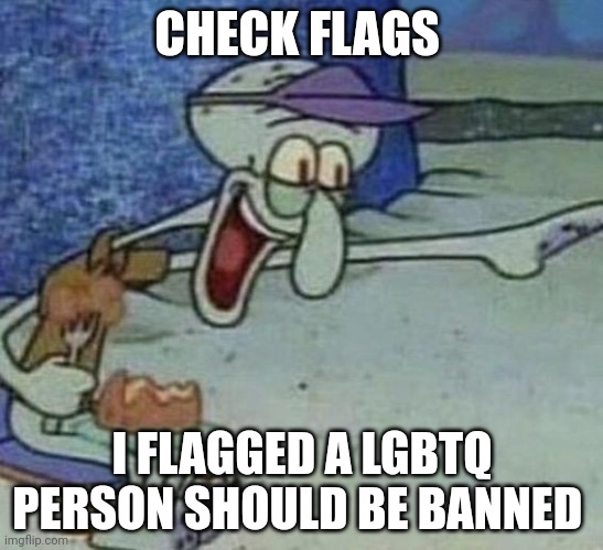 Squidward Point and Laugh | CHECK FLAGS; I FLAGGED A LGBTQ PERSON SHOULD BE BANNED | image tagged in squidward point and laugh | made w/ Imgflip meme maker