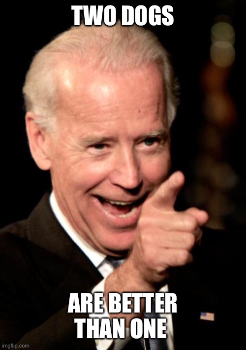 Smilin Biden Meme | TWO DOGS ARE BETTER THAN ONE | image tagged in memes,smilin biden | made w/ Imgflip meme maker