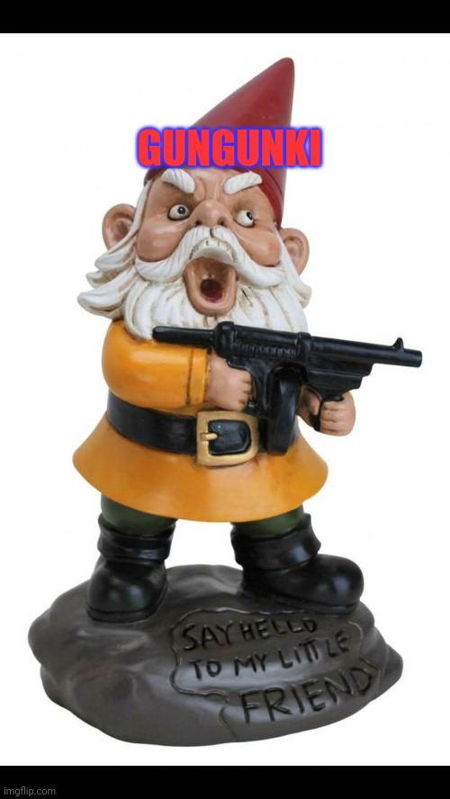 Angry Gnome | GUNGUNKI | image tagged in angry gnome | made w/ Imgflip meme maker