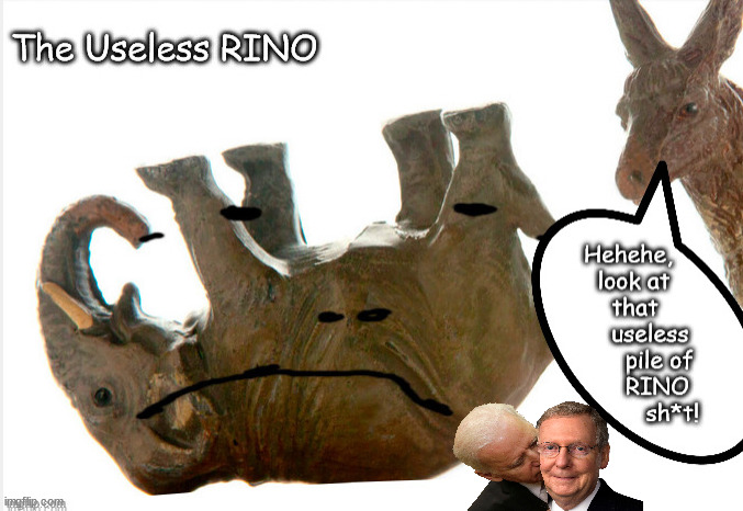 The Useless RINO | image tagged in memes,politics | made w/ Imgflip meme maker