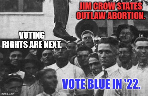 White Nationalism in Action. | JIM CROW STATES OUTLAW ABORTION. VOTING RIGHTS ARE NEXT. VOTE BLUE IN '22. | image tagged in politics | made w/ Imgflip meme maker