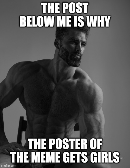 Giga Chad | THE POST BELOW ME IS WHY; THE POSTER OF THE MEME GETS GIRLS | image tagged in giga chad | made w/ Imgflip meme maker