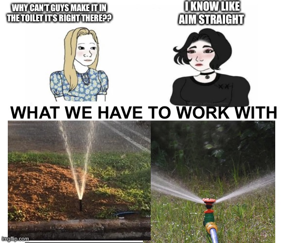 It’s a straight stream less of the time than it is weird lol | I KNOW LIKE AIM STRAIGHT; WHY CAN’T GUYS MAKE IT IN THE TOILET IT’S RIGHT THERE?? WHAT WE HAVE TO WORK WITH | image tagged in men vs women | made w/ Imgflip meme maker
