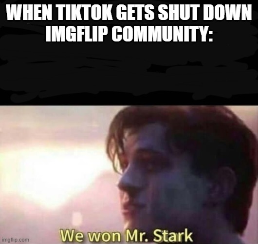 tiktok gets down | WHEN TIKTOK GETS SHUT DOWN
IMGFLIP COMMUNITY: | image tagged in we won mr stark | made w/ Imgflip meme maker
