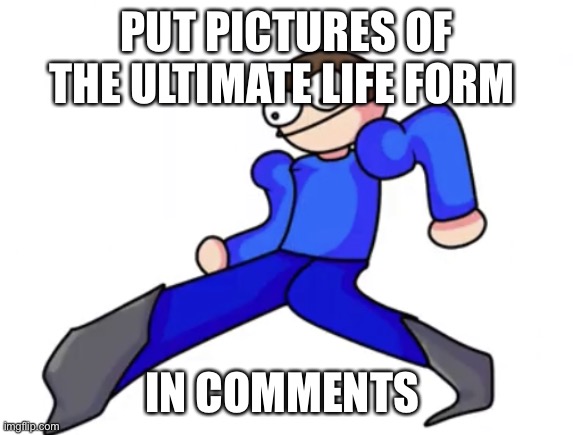 Dave goofy ahh | PUT PICTURES OF THE ULTIMATE LIFE FORM; IN COMMENTS | image tagged in dave goofy ahh | made w/ Imgflip meme maker