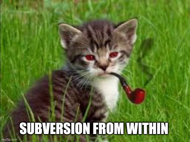 chaton subversif | SUBVERSION FROM WITHIN | image tagged in chaton subversif | made w/ Imgflip meme maker