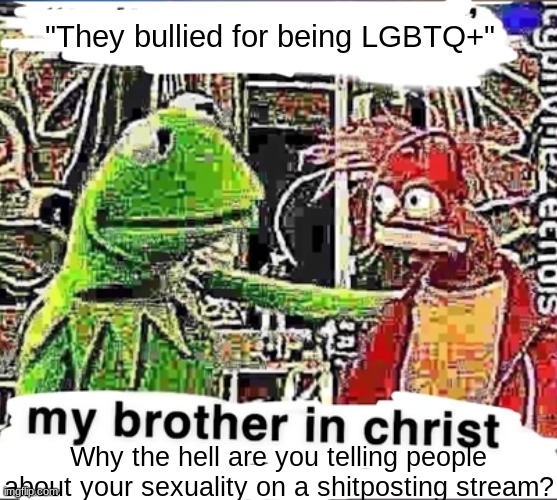 My brother in Christ | "They bullied for being LGBTQ+"; Why the hell are you telling people about your sexuality on a shitposting stream? | made w/ Imgflip meme maker