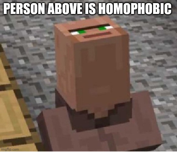 Minecraft Villager Looking Up | PERSON ABOVE IS HOMOPHOBIC | image tagged in minecraft villager looking up | made w/ Imgflip meme maker